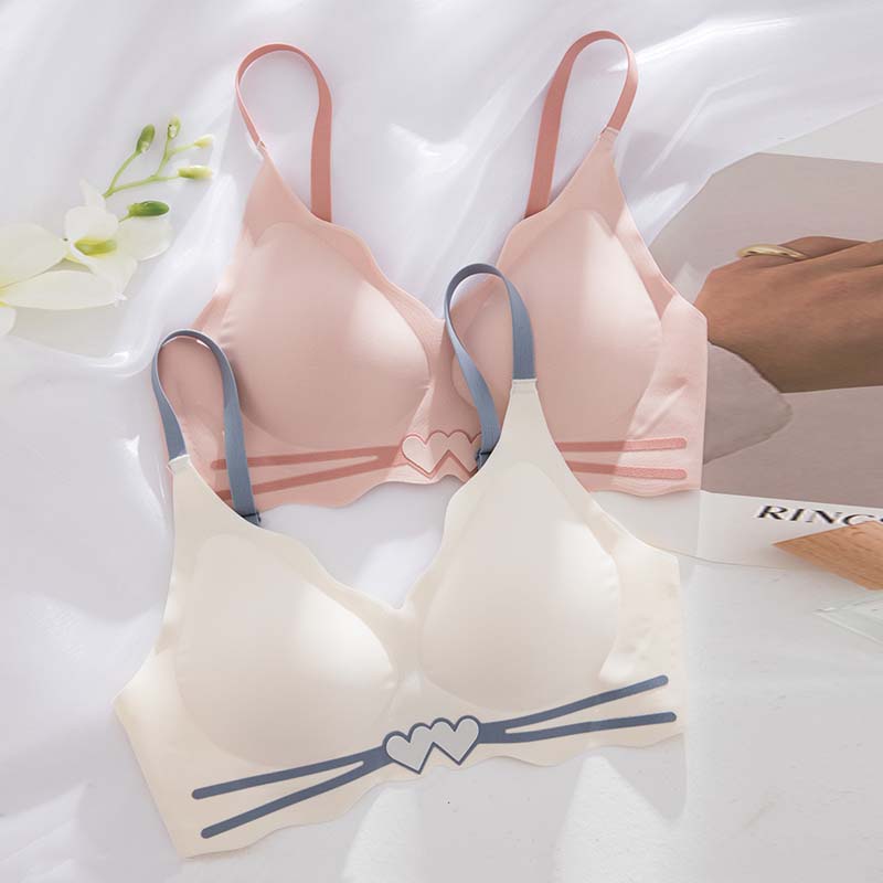 for Women Blue Pink Push Up Sexy Lingerie Wireless One-Piece Bras Panties Luxury Bra Sets Underwear A B Seamless