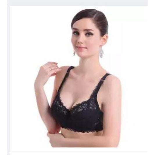 Black Underwire Full Coverage Lace Sheer Bra for Women / embroidered Net bras