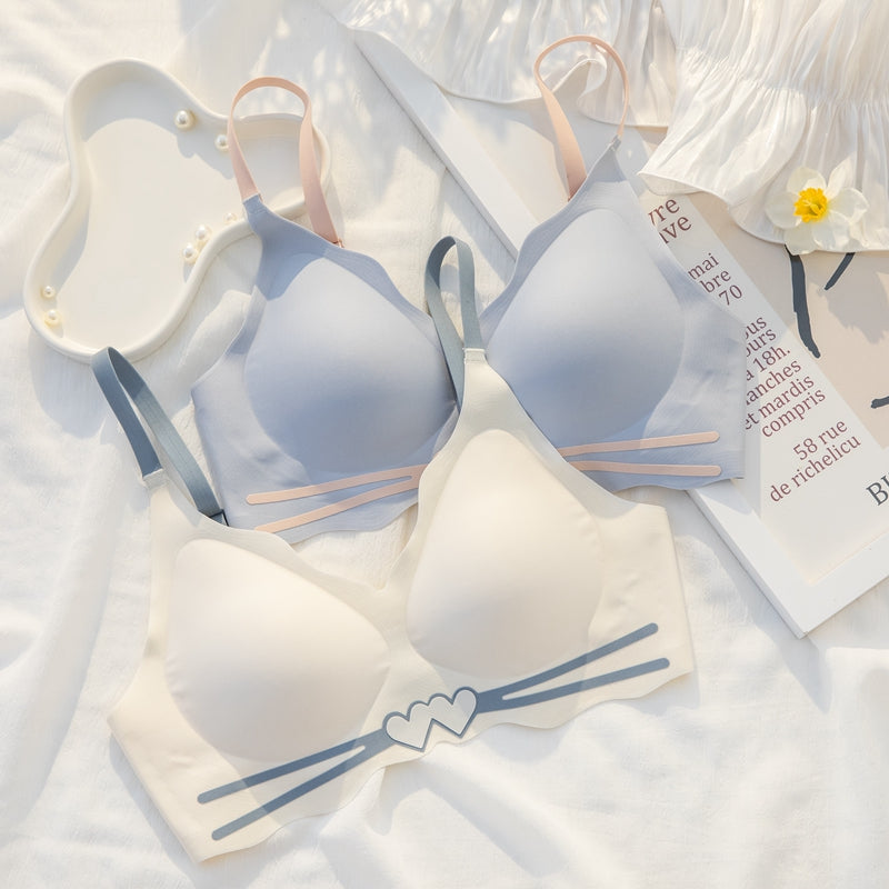 for Women Blue Pink Push Up Sexy Lingerie Wireless One-Piece Bras Panties Luxury Bra Sets Underwear A B Seamless