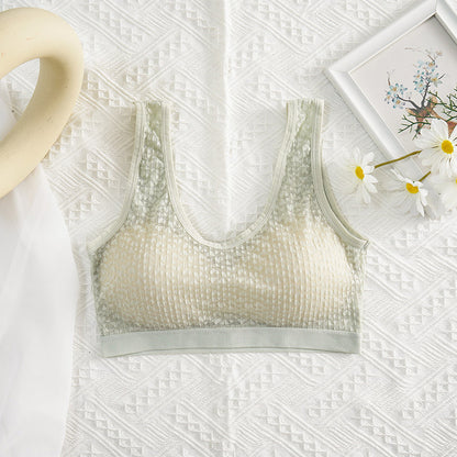Lace Meshcrop Top Women Sexy Female Lingerie Breathable Underwear Wireless Padded Bandeau Streetwear Camisole